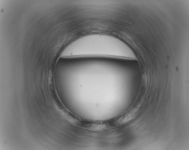 X0000066540458200603171245