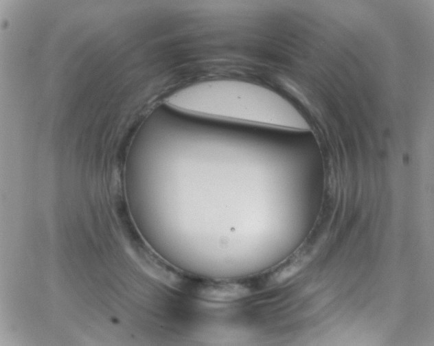 X0000066540459200603171245