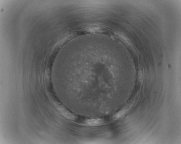 X0000066540461200603171245