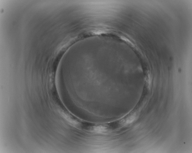 X0000066540462200603171245