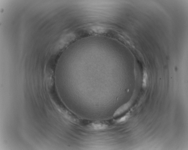 X0000066540464200603171245