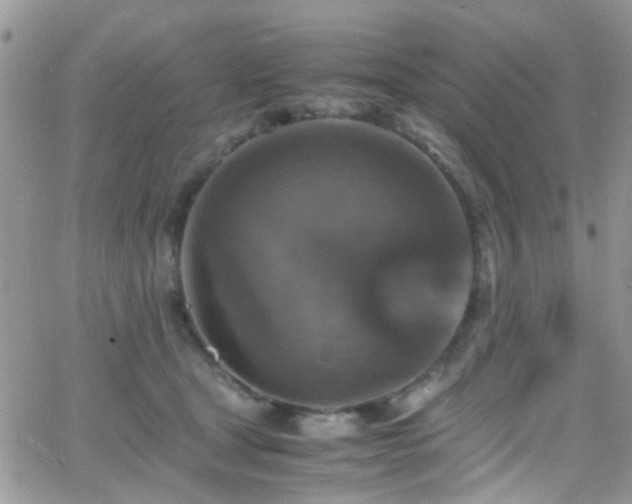 X0000066540465200603171245