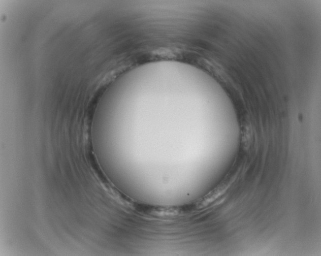 X0000066540466200603171245