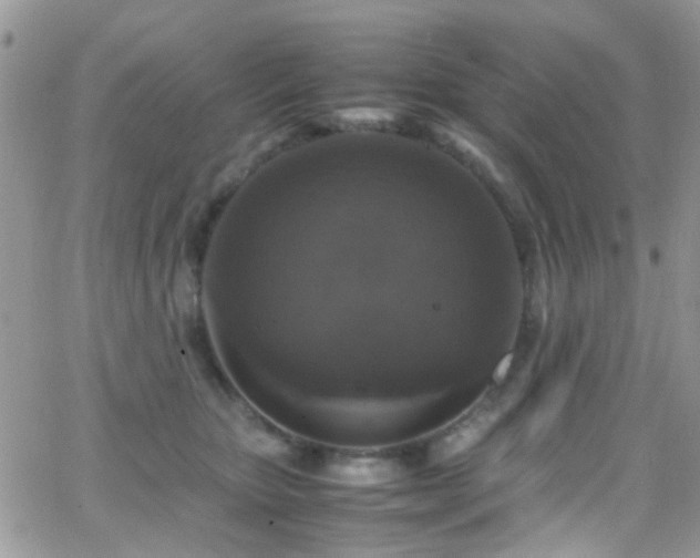 X0000066540467200603171245