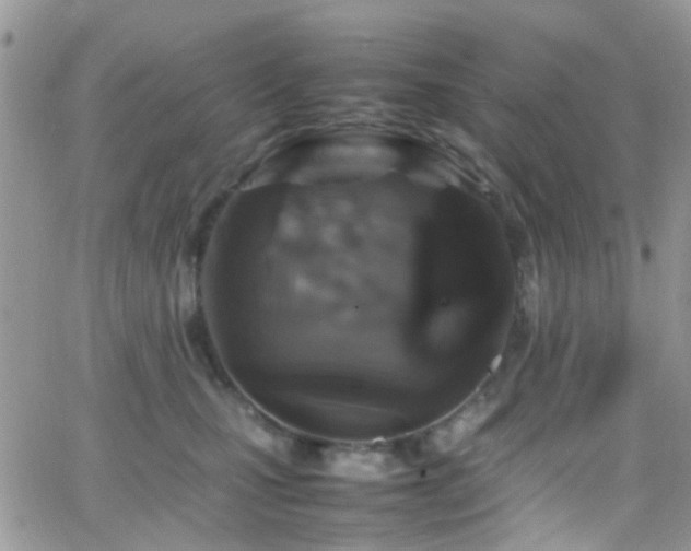 X0000066540471200603171245