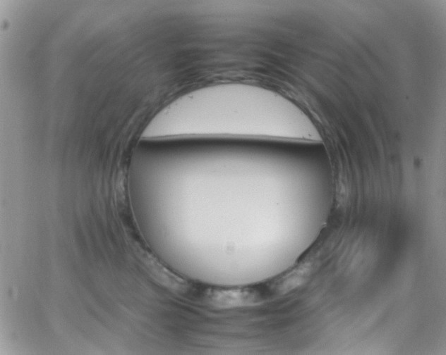 X0000066540473200603171245