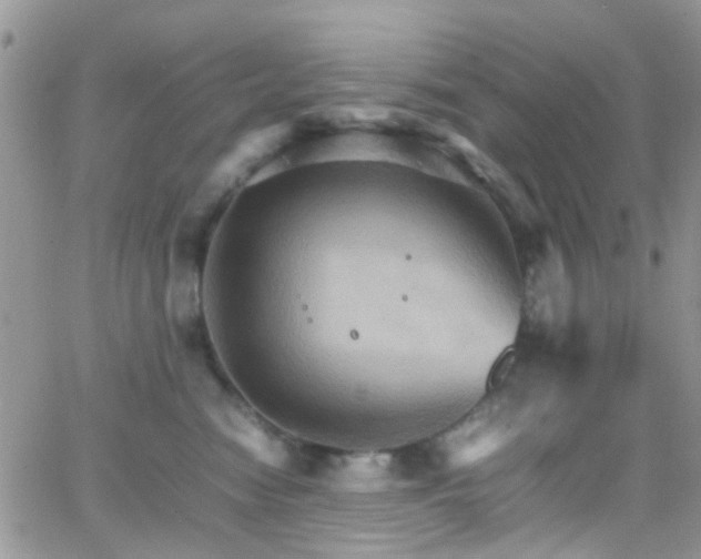 X0000066540474200603171245