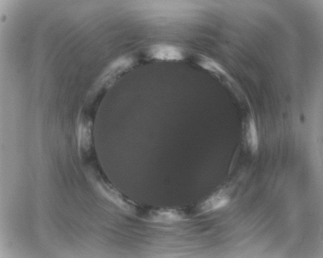 X0000066540475200603171245