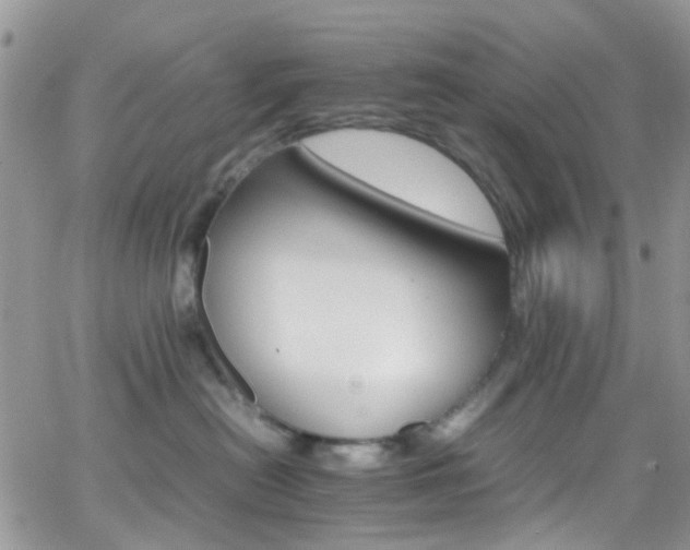 X0000066540478200603171245