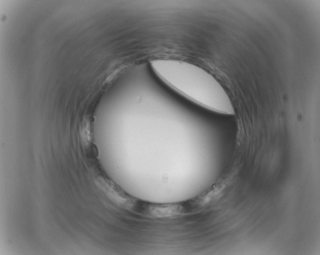 X0000066540479200603171245