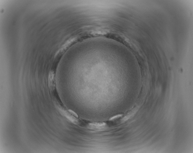 X0000066540480200603171245