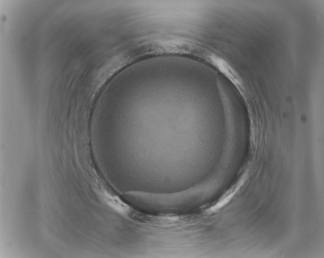 X0000066540481200603171244