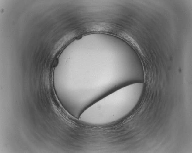 X0000066540482200603171244