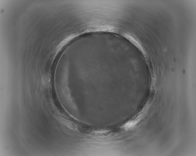 X0000066540483200603171244