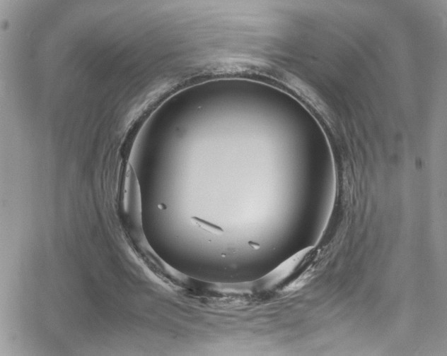 X0000066540485200603171244