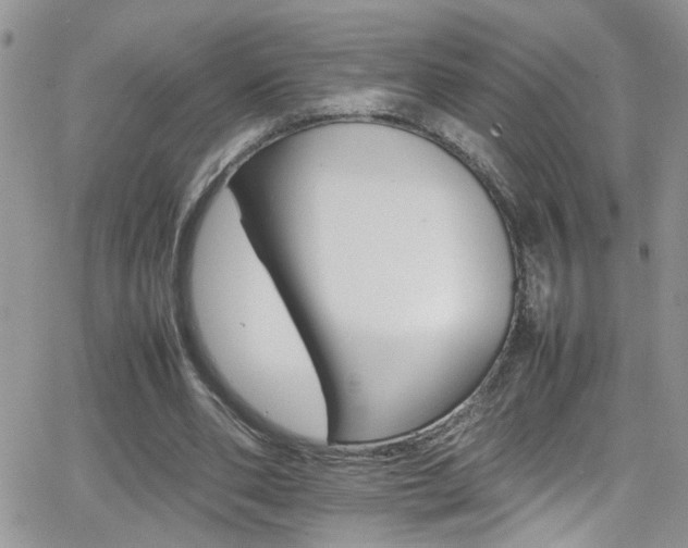 X0000066540486200603171244