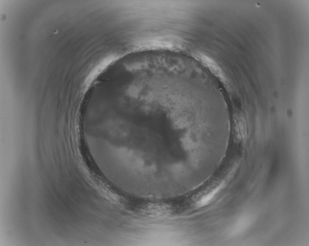 X0000066540487200603171244