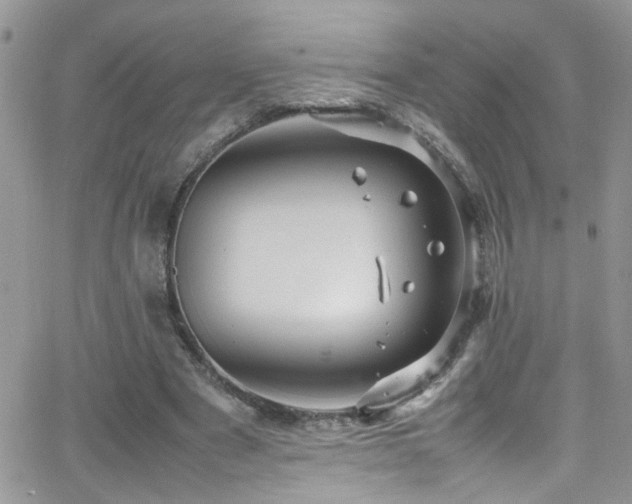 X0000066540489200603171244