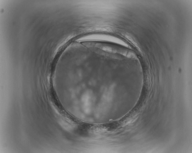 X0000066540491200603171244