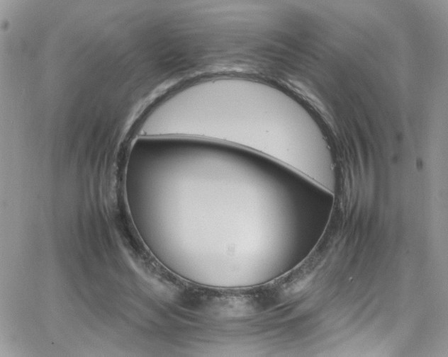 X0000066540492200603171244