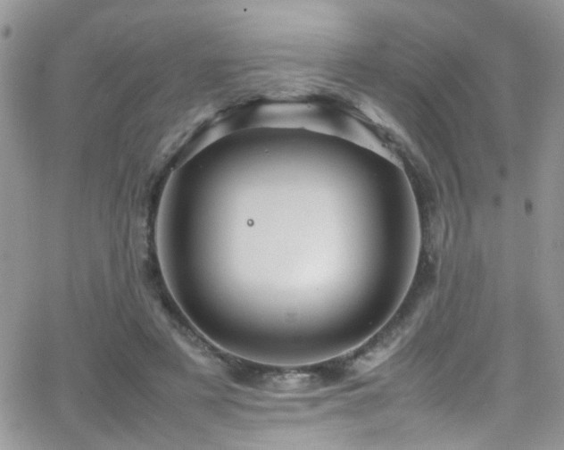 X0000066540497200603171244