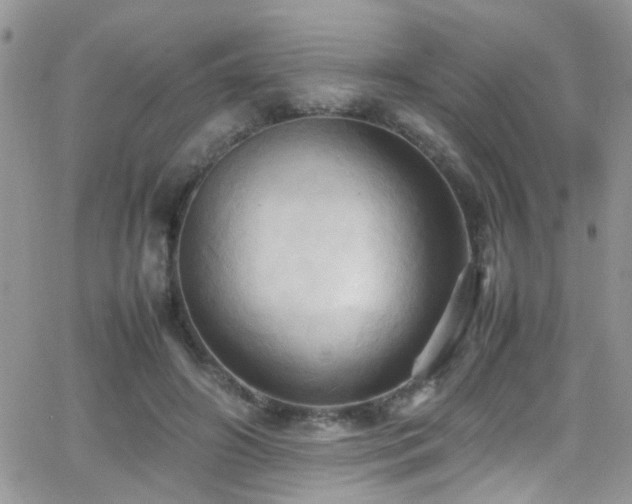 X0000066540498200603171244