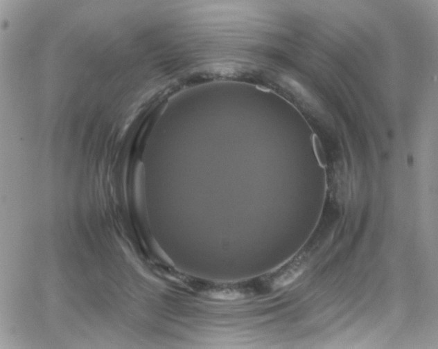 X0000066540500200603171244