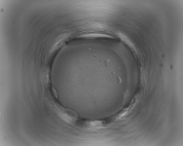 X0000066540501200603171244