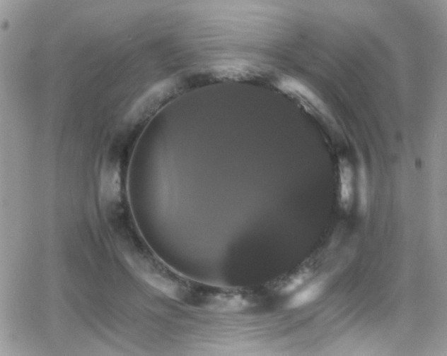 X0000066540502200603171244