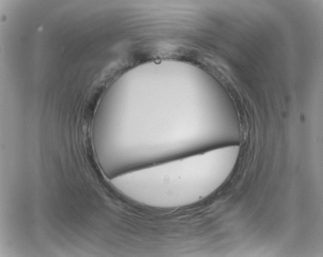 X0000066540503200603171244