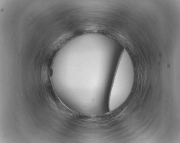 X0000066540504200603171244