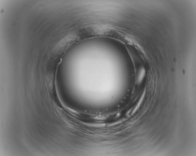 X0000066540505200603171244