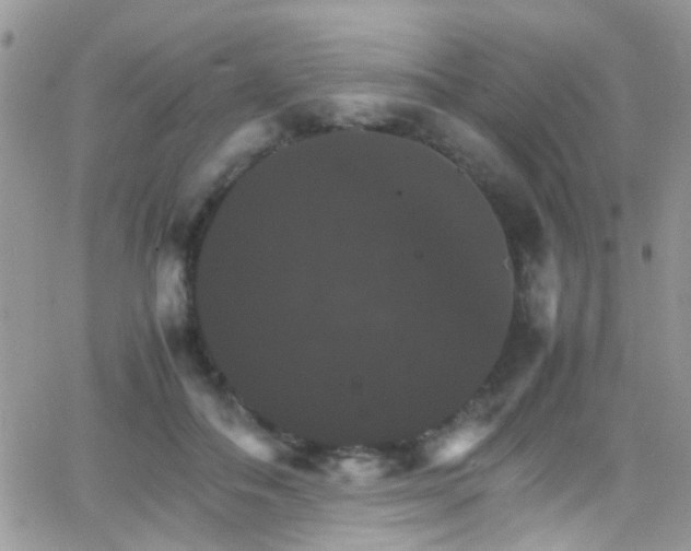 X0000066540506200603171244