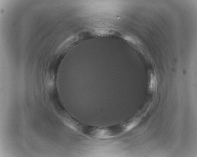 X0000066540507200603171244