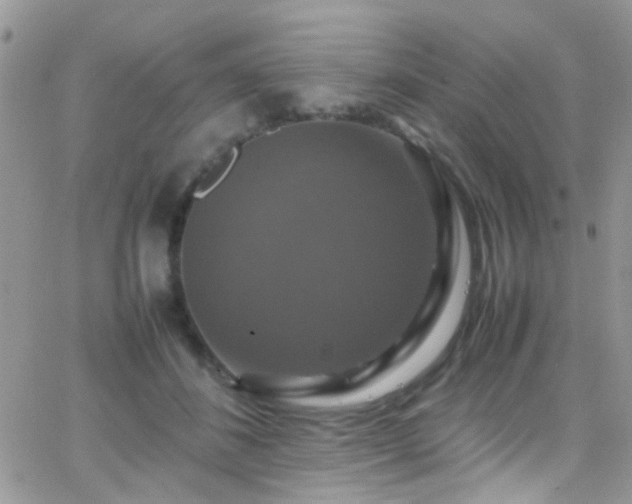 X0000066540508200603171244