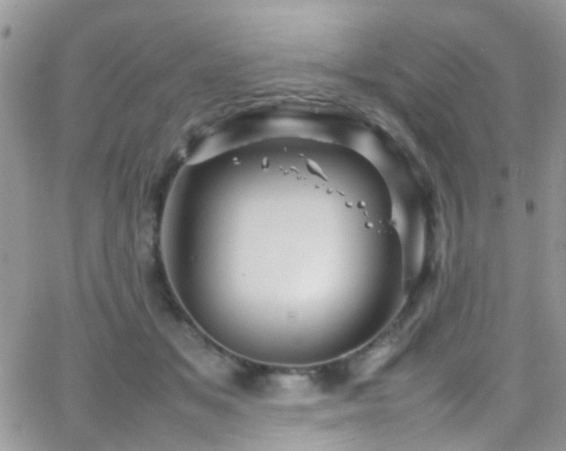 X0000066540509200603171244