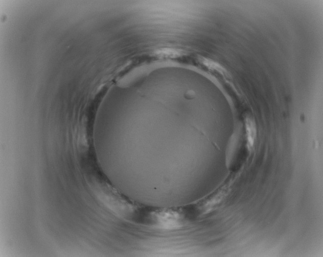 X0000066540512200603171244