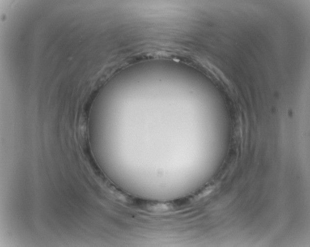 X0000066540513200603171244