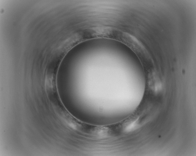 X0000066540514200603171244