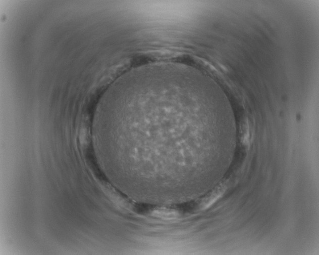 X0000066540515200603171244