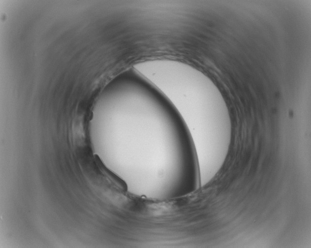 X0000066540516200603171244