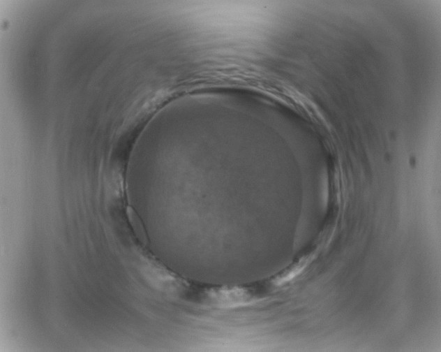 X0000066540517200603171244