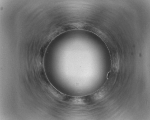 X0000066540518200603171244