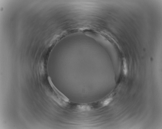 X0000066540520200603171244