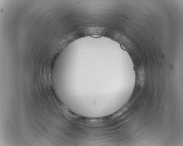 X0000066540522200603171244