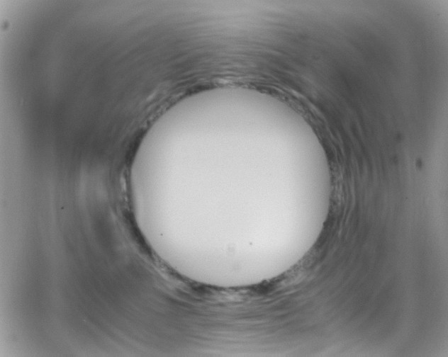 X0000066540523200603171244