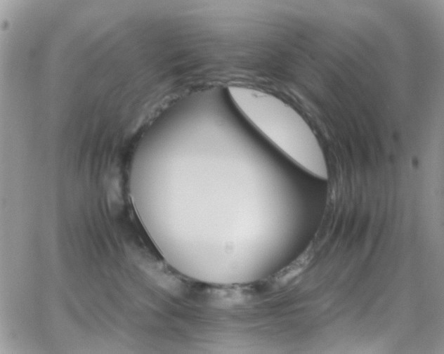 X0000066540524200603171244