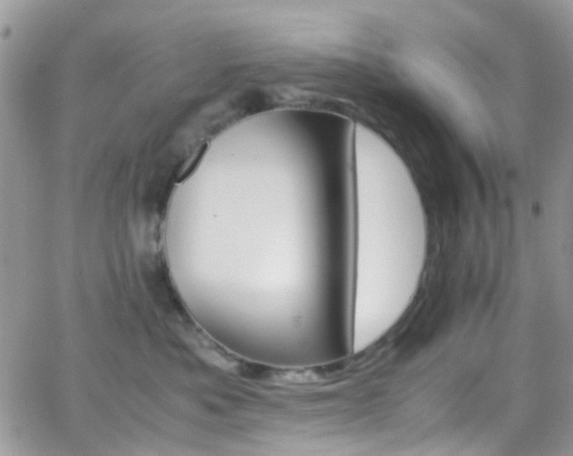 X0000066540525200603171244