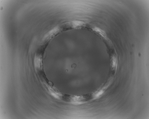 X0000066540527200603171244