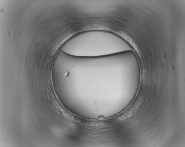 X0000066540529200603171243